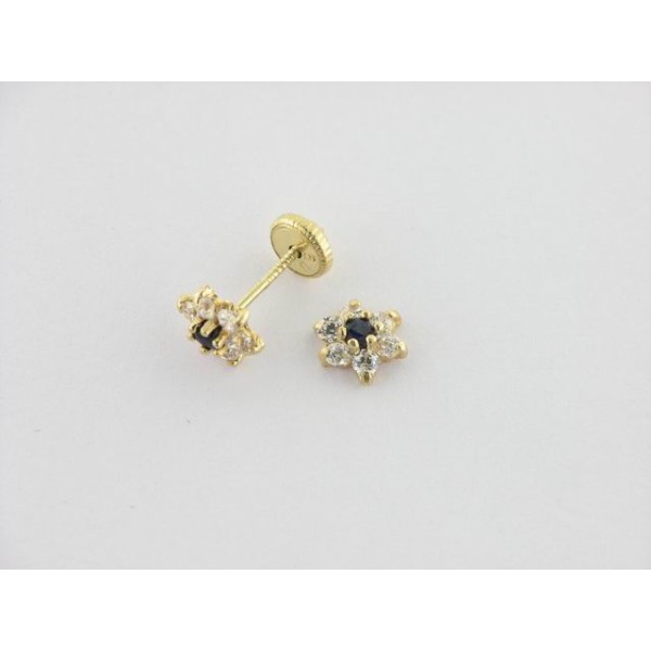 Pendientes Oro Piedras